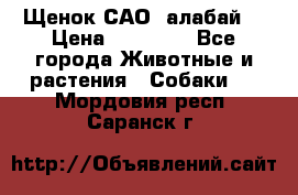 Щенок САО (алабай) › Цена ­ 10 000 - Все города Животные и растения » Собаки   . Мордовия респ.,Саранск г.